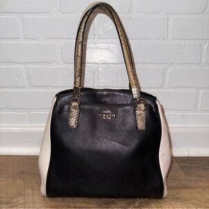 Coach Minetta Snakeskin-Patterned Black and Cream Crossbody Bag